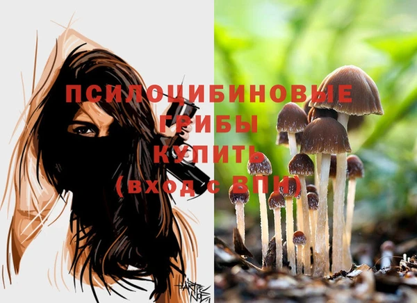 ПСИЛОЦИБИНОВЫЕ ГРИБЫ Бронницы