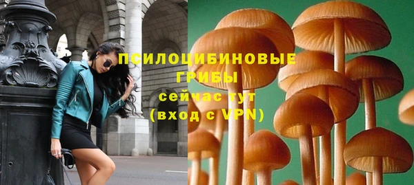 ПСИЛОЦИБИНОВЫЕ ГРИБЫ Бронницы