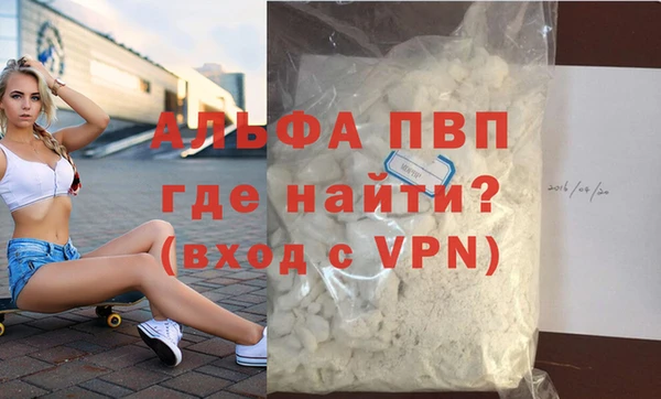 сатива Бородино