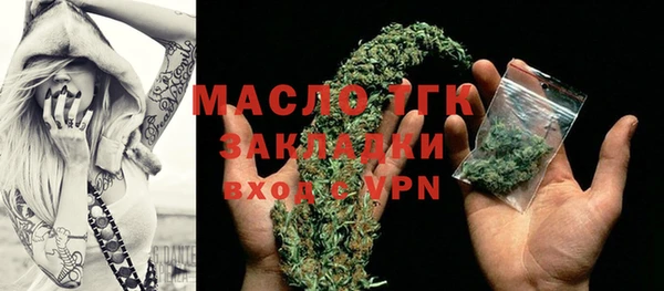 сатива Бородино