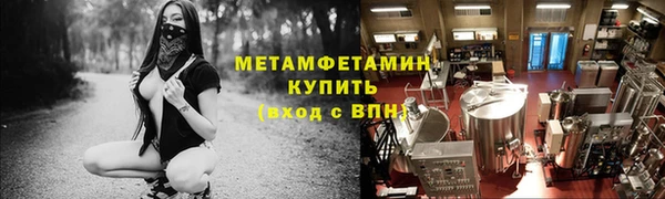 сатива Бородино
