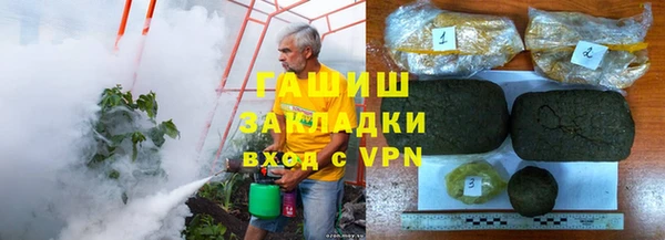 сатива Бородино